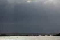 Dans La Baie de Paimpol. © Philip Plisson / Plisson La Trinité / AA22884 - Nos reportages photos - Ciel gris