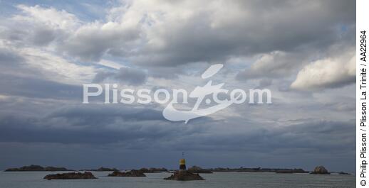 Island Brehat. - © Philip Plisson / Plisson La Trinité / AA22964 - Photo Galleries - Cardinal south