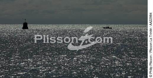 Island Brehat. - © Philip Plisson / Plisson La Trinité / AA22984 - Photo Galleries - Backlit