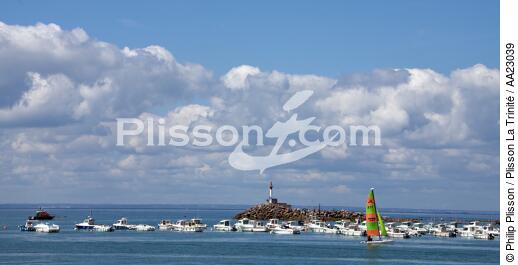 Erquy. - © Philip Plisson / Plisson La Trinité / AA23039 - Photo Galleries - Sports catamaran