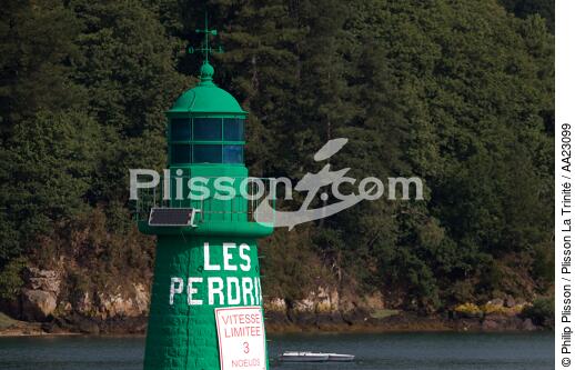 Perdrix tourel in Lézardrieux. - © Philip Plisson / Plisson La Trinité / AA23099 - Photo Galleries - River [22]
