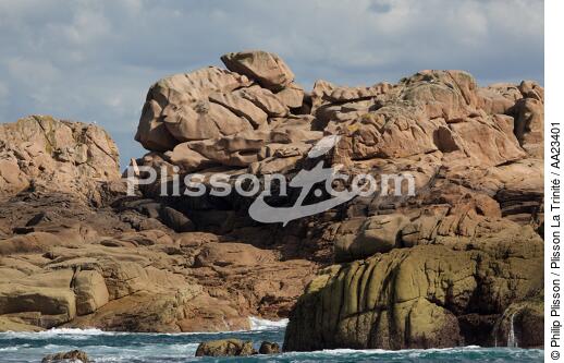 Ploumanac'h sur la côte de granit rose. - © Philip Plisson / Plisson La Trinité / AA23401 - Nos reportages photos - Site [22]