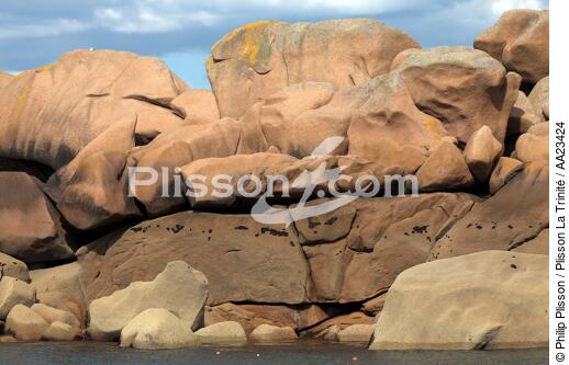 Ploumanac'h sur la côte de granit rose. - © Philip Plisson / Plisson La Trinité / AA23424 - Nos reportages photos - Côte de granit rose