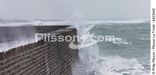 Coup de vent sur Port-Maria à Quiberon - © Philip Plisson / Plisson La Trinité / AA23442 - Nos reportages photos - Quiberon