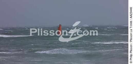 Coup de vent sur Port-Maria à Quiberon - © Philip Plisson / Plisson La Trinité / AA23446 - Nos reportages photos - Tempête