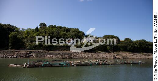 On the Jaudy river. - © Philip Plisson / Plisson La Trinité / AA23551 - Photo Galleries - From Paimpol to Sept-Iles