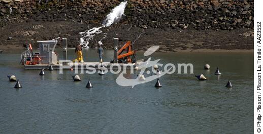 Sur la rivière du Jaudy. - © Philip Plisson / Plisson La Trinité / AA23552 - Nos reportages photos - De Paimpol aux Sept-Iles