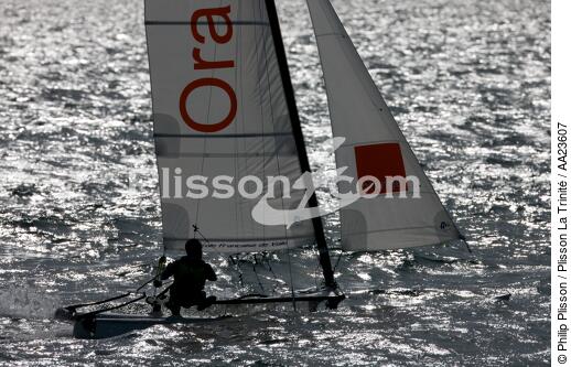 Catamaran devant Trébeurden. - © Philip Plisson / Plisson La Trinité / AA23607 - Nos reportages photos - Multicoque de sport et loisirs