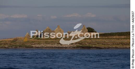 Triélen island - © Philip Plisson / Plisson La Trinité / AA23637 - Photo Galleries - Pebble