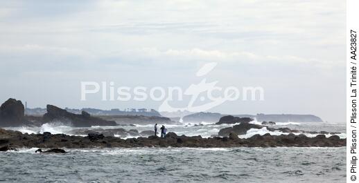 In front of Argenton. - © Philip Plisson / Plisson La Trinité / AA23827 - Photo Galleries - Rock