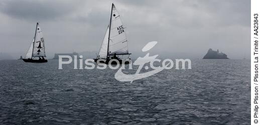 Regatta caravelin the bay of Morlaix. - © Philip Plisson / Plisson La Trinité / AA23843 - Photo Galleries - Mist