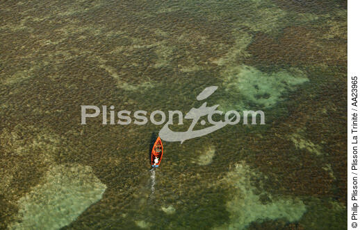 Martinique. - © Philip Plisson / Plisson La Trinité / AA23965 - Photo Galleries - Small boat