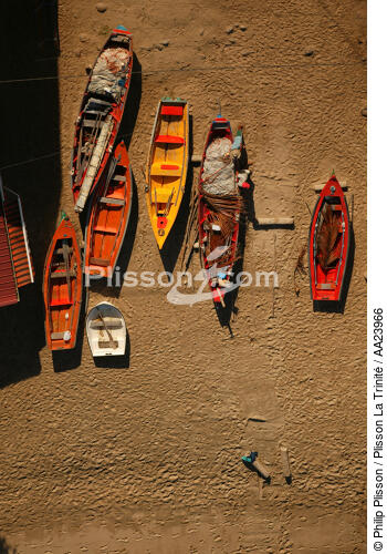 Martinique. - © Philip Plisson / Plisson La Trinité / AA23966 - Photo Galleries - Rowing boat