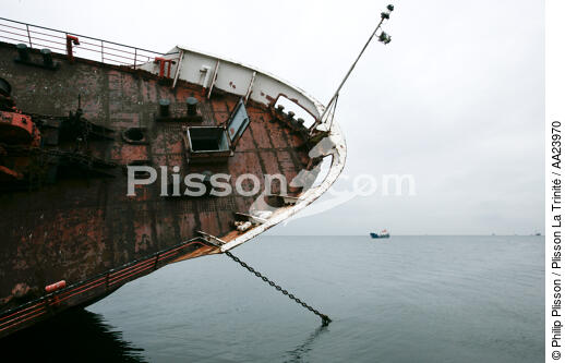 In the port of Istanbul. - © Philip Plisson / Plisson La Trinité / AA23970 - Photo Galleries - Shipwreck