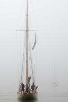 Nan of Fife in the Gulf of Morbihan. © Philip Plisson / Plisson La Trinité / AA23985 - Photo Galleries - Yachting