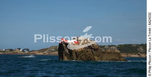 Bay of Morlaix. - © Philip Plisson / Plisson La Trinité / AA24032 - Photo Galleries - Morlaix [The Bay of]