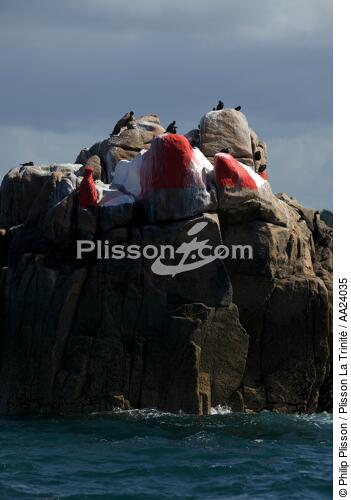 Baie de Morlaix. - © Philip Plisson / Plisson La Trinité / AA24035 - Nos reportages photos - Rocher