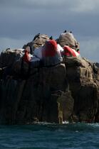 Bay of Morlaix. © Philip Plisson / Plisson La Trinité / AA24035 - Photo Galleries - Rock