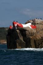 Bay of Morlaix. © Philip Plisson / Plisson La Trinité / AA24036 - Photo Galleries - Rock