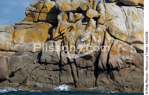 Baie de Morlaix. - © Philip Plisson / Plisson La Trinité / AA24038 - Nos reportages photos - Rocher
