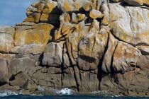 Bay of Morlaix. © Philip Plisson / Plisson La Trinité / AA24038 - Photo Galleries - France