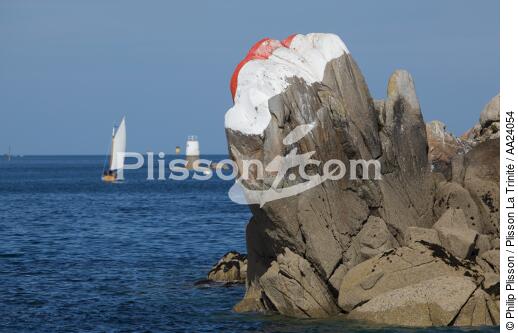 Bay of Morlaix. - © Philip Plisson / Plisson La Trinité / AA24054 - Photo Galleries - France
