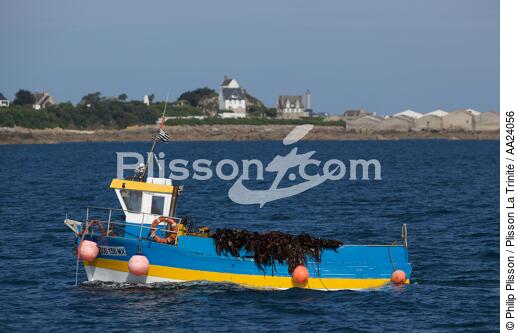 Seaweed in the bay of Morlaix. - © Philip Plisson / Plisson La Trinité / AA24056 - Photo Galleries - Boat used for gathering seaweed