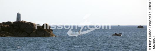 Bay of Morlaix. - © Philip Plisson / Plisson La Trinité / AA24059 - Photo Galleries - Small boat