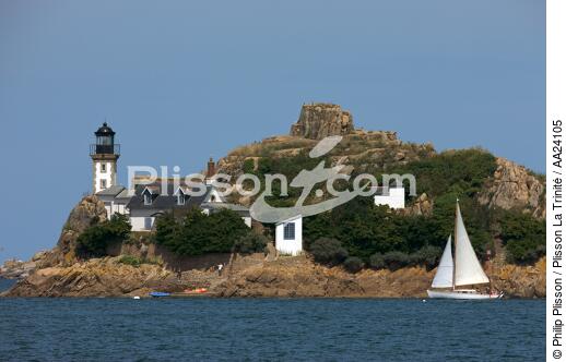 Louet Island in the Bay of Morlaix. - © Philip Plisson / Plisson La Trinité / AA24105 - Photo Galleries - French Lighthouses