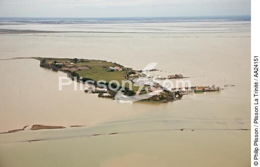 Vendée department after passing Xynthia. - © Philip Plisson / Plisson La Trinité / AA24151 - Photo Galleries - Storm at sea