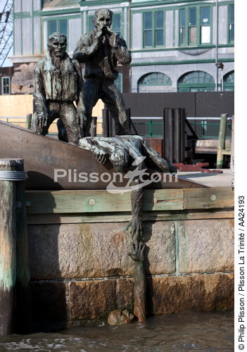 New-York - © Philip Plisson / Plisson La Trinité / AA24193 - Nos reportages photos - Statue