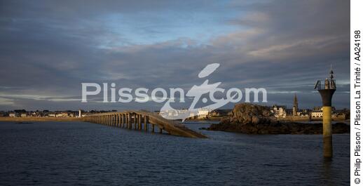 Roscoff. - © Philip Plisson / Plisson La Trinité / AA24198 - Photo Galleries - Sea