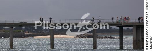 Roscoff. - © Philip Plisson / Plisson La Trinité / AA24202 - Photo Galleries - Bridge