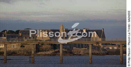 Roscoff. - © Philip Plisson / Plisson La Trinité / AA24203 - Photo Galleries - Bridge