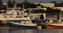 Concarneau. © Philip Plisson / Plisson La Trinité / AA24274 - Photo Galleries - Fishing vessel