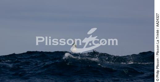 Le phare de Créac'h sur Ouessant - © Philip Plisson / Plisson La Trinité / AA24327 - Nos reportages photos - Créac'h