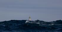 Créac'h lighthouse on Ouessant © Philip Plisson / Plisson La Trinité / AA24327 - Photo Galleries - Island [29]