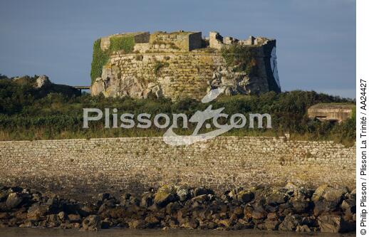 Aber Wrac'h. - © Philip Plisson / Plisson La Trinité / AA24427 - Photo Galleries - Fort