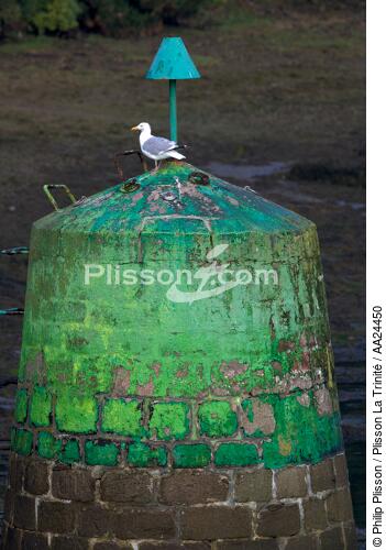 Balise sur l'Aber Wrac'h. - © Philip Plisson / Plisson La Trinité / AA24450 - Nos reportages photos - Oiseau marin