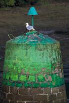 Balise sur l'Aber Wrac'h. © Philip Plisson / Plisson La Trinité / AA24450 - Nos reportages photos - Oiseau marin