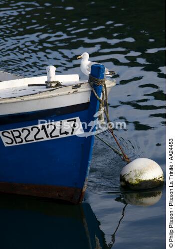 Aber Wrac'h. - © Philip Plisson / Plisson La Trinité / AA24453 - Photo Galleries - Rowing boat