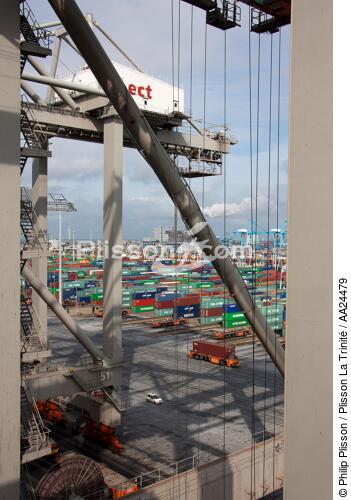 Sur le port de Rotterdam - © Philip Plisson / Plisson La Trinité / AA24479 - Nos reportages photos - Pays-Bas