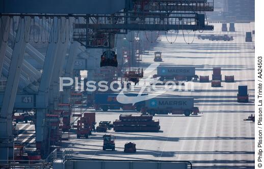In the port of Rotterdam - © Philip Plisson / Plisson La Trinité / AA24503 - Photo Galleries - Containerships, the excess