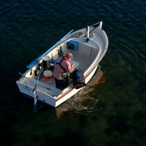 Petite pêche en baie de Morlaix © Philip Plisson / Plisson La Trinité / AA24522 - Nos reportages photos - Barque