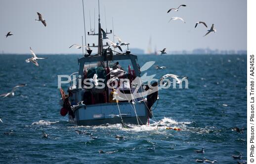 Pêche en baie de Quiberon. - © Philip Plisson / Plisson La Trinité / AA24526 - Nos reportages photos - Chalutier