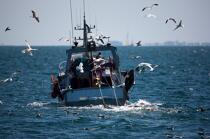 Fishing in Quiberon Bay. © Philip Plisson / Plisson La Trinité / AA24526 - Photo Galleries - Trawler