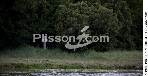 Crac'h river. - © Philip Plisson / Plisson La Trinité / AA24559 - Photo Galleries - River [56]