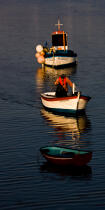 In the port of Roscoff. © Philip Plisson / Plisson La Trinité / AA24581 - Photo Galleries - Fishing vessel