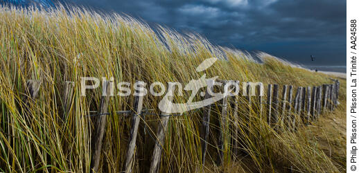 The dunes Erdeven. - © Philip Plisson / Plisson La Trinité / AA24588 - Photo Galleries - Grey sky