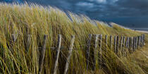 Les dunes d'Erdeven. © Philip Plisson / Plisson La Trinité / AA24588 - Nos reportages photos - Dune